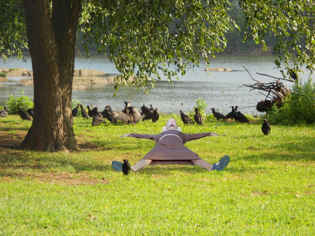 Windy with Vultures